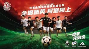 法甲中场科内因重伤无缘世界杯